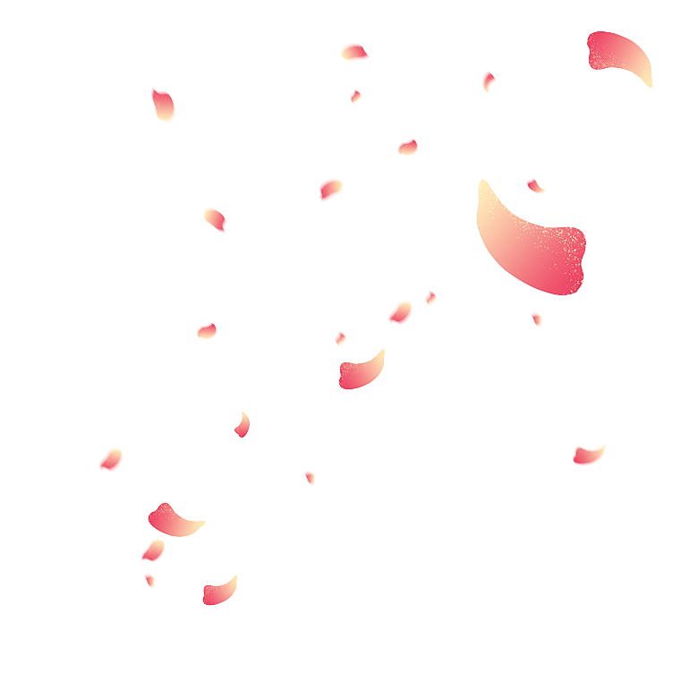 手绘花瓣花朵花卉装饰图案PNG免抠素材