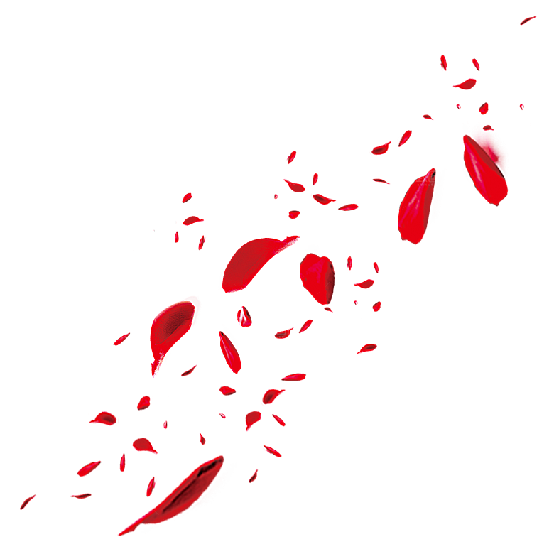 手绘花瓣花朵花卉装饰图案PNG免抠素材