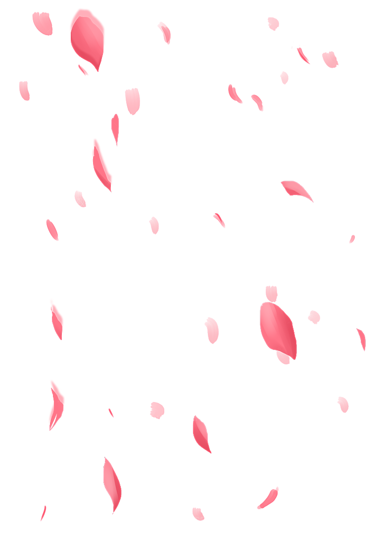 手绘花瓣花朵花卉装饰图案PNG免抠素材