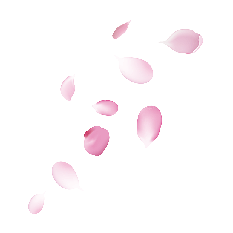 手绘花瓣花朵花卉装饰图案PNG免抠