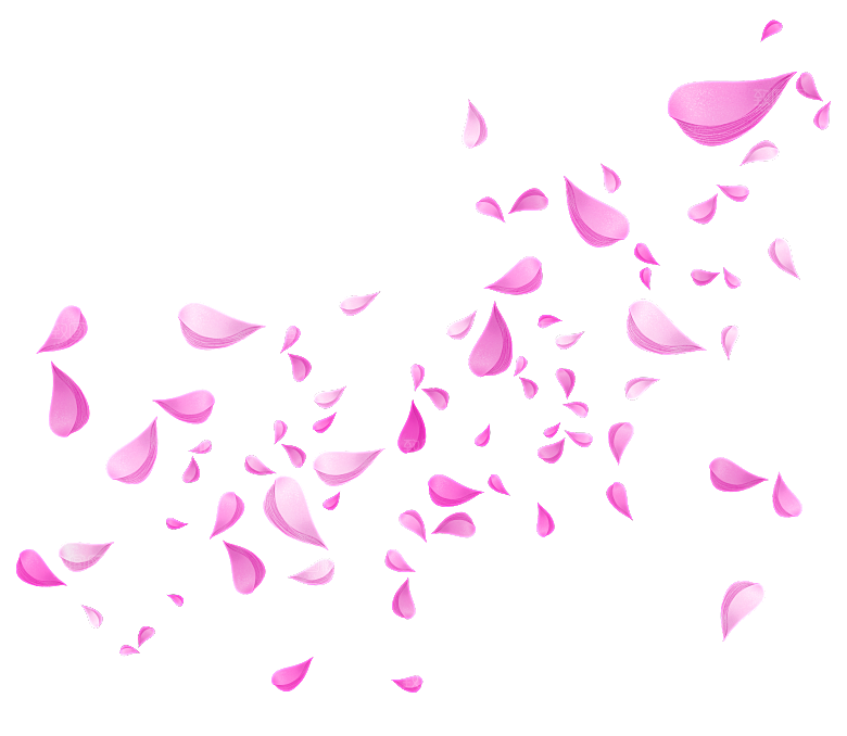 手绘花瓣花朵花卉装饰图案PNG免抠图片