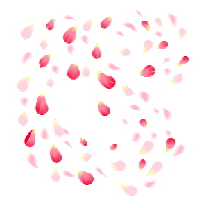 手绘花瓣花朵花卉装饰图案PNG免抠图片