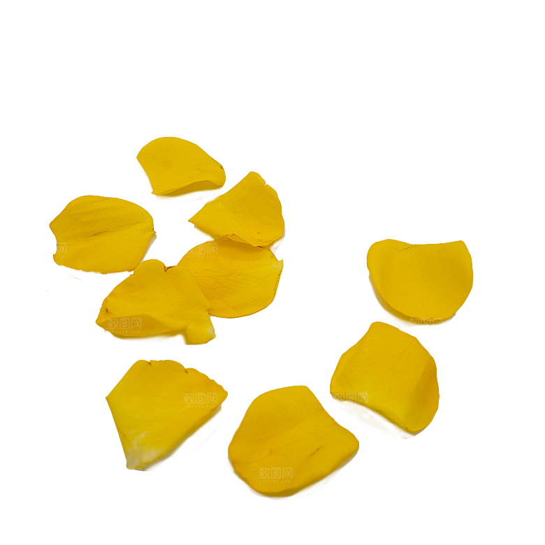 手绘花瓣花朵花卉装饰图案PNG免抠图片