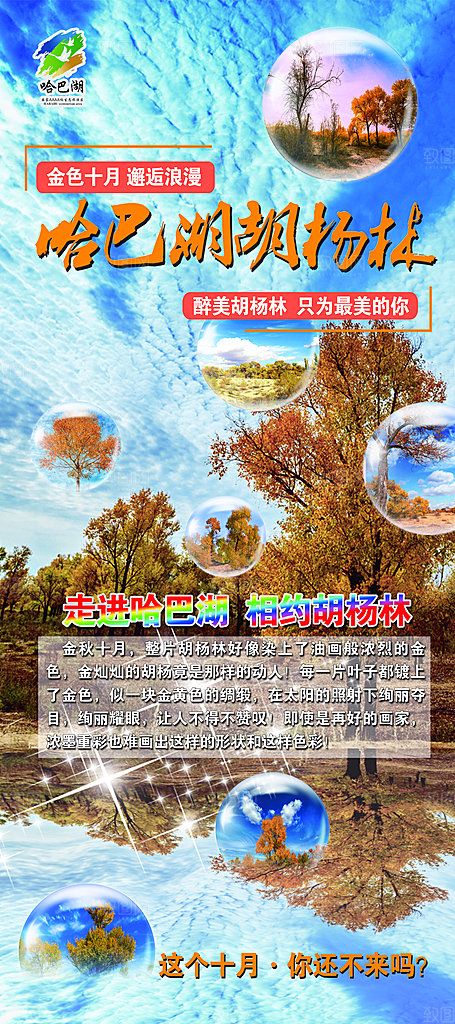 兰州胡杨林旅游设计海报