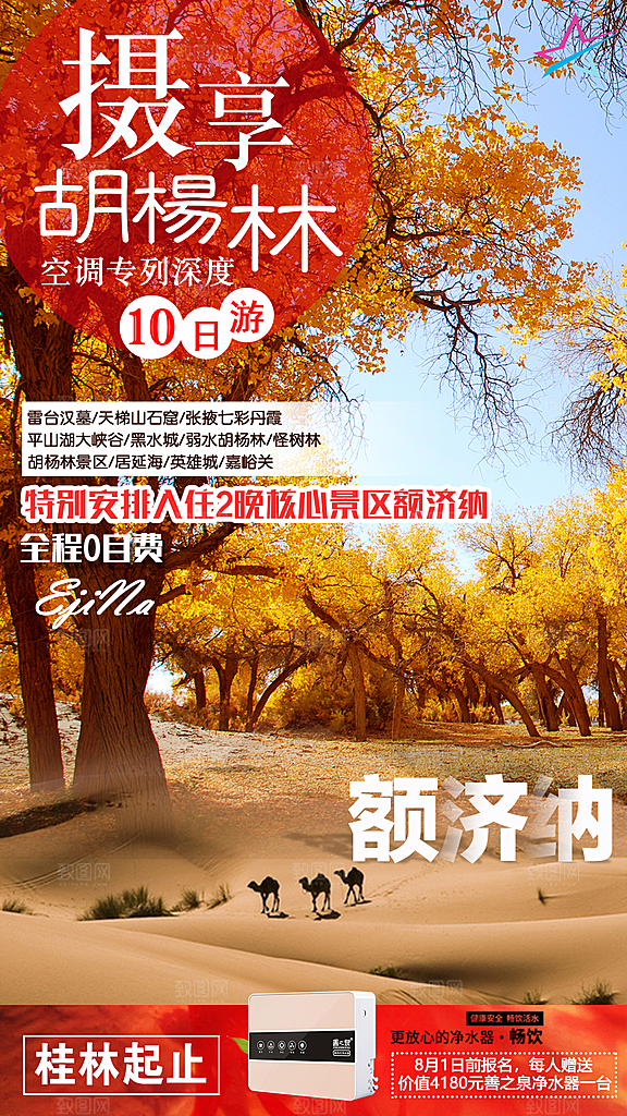 兰州胡杨林旅游设计海报