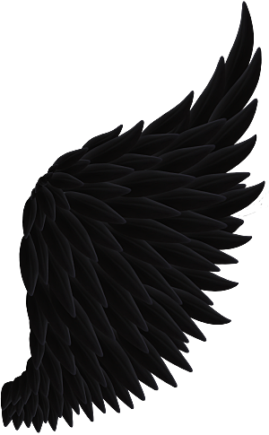 黑色天使恶魔翅膀图案背景PNG免抠