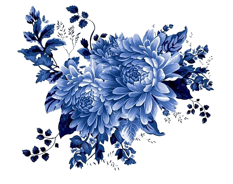 手绘水墨菊花重阳节花卉海报背景PNG素材