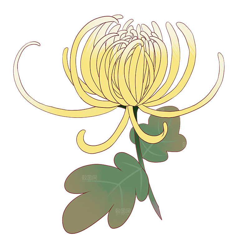 手绘水墨菊花重阳节花卉海报背景PNG素材