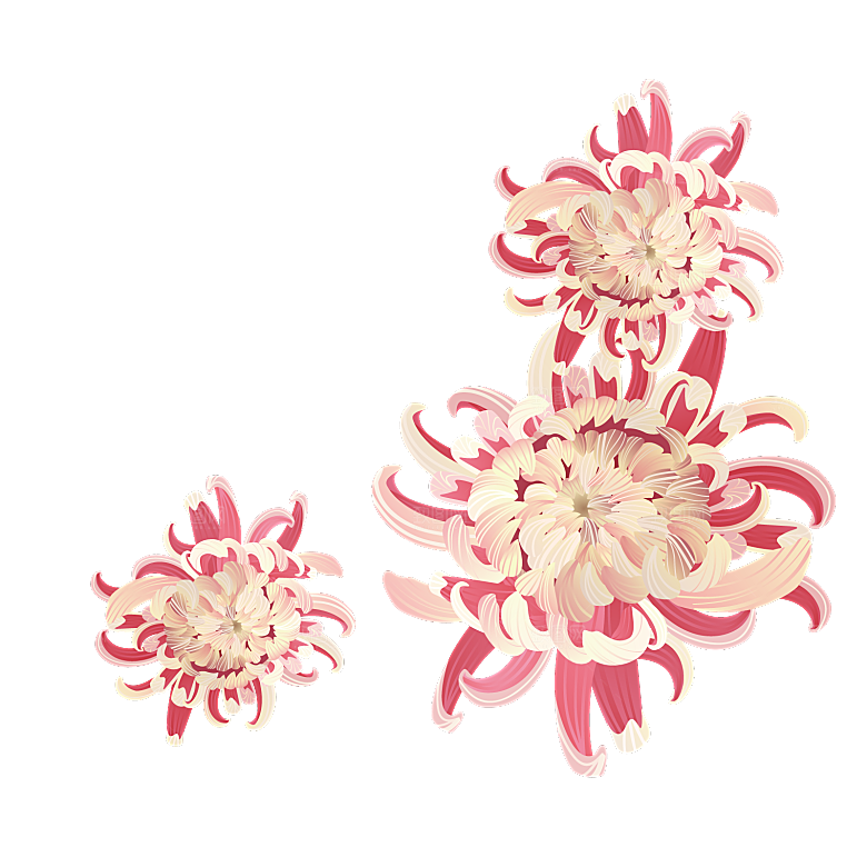 手绘水墨菊花重阳节花卉海报背景PNG素材