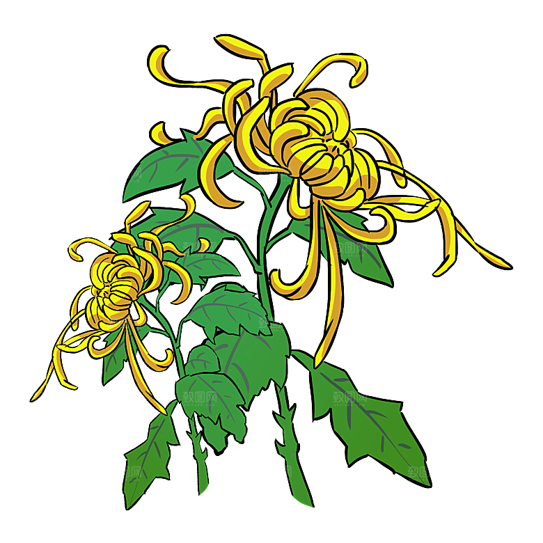 手绘水墨菊花重阳节花卉海报背景PNG