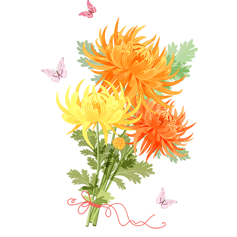 手绘水墨菊花重阳节花卉海报背景PNG