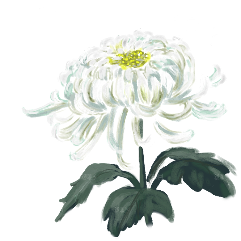 手绘水墨菊花重阳节花卉海报背景PNG