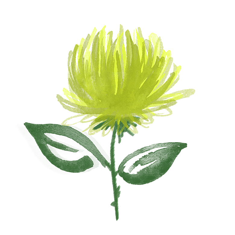 手绘水墨菊花重阳节花卉海报背景PNG素材