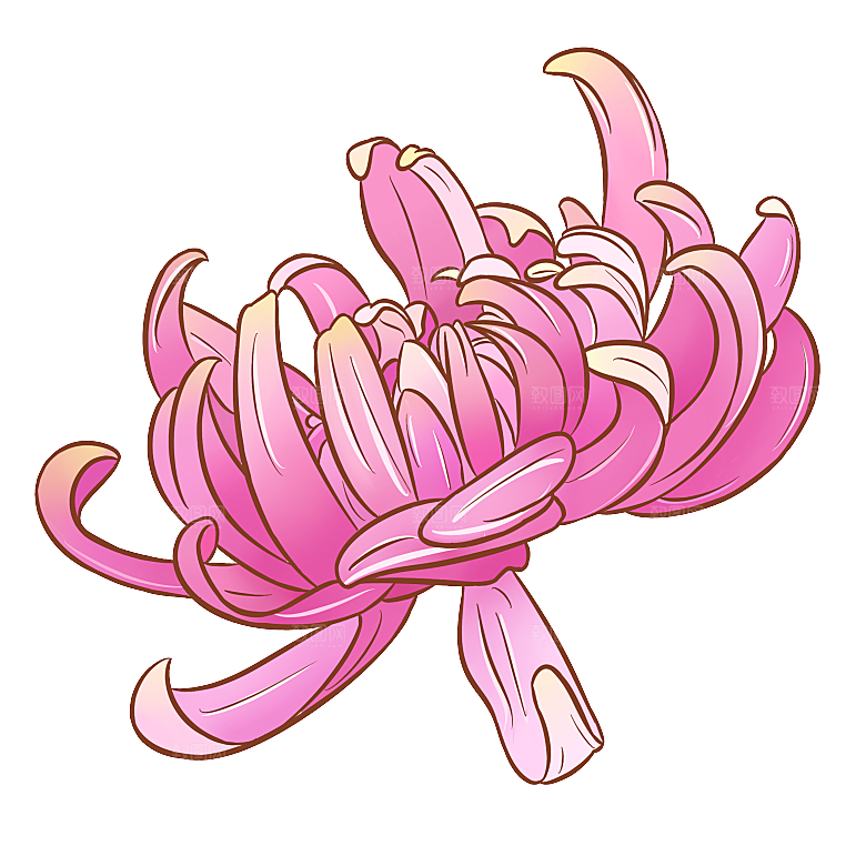 手绘水墨菊花重阳节花卉海报背景PNG素材