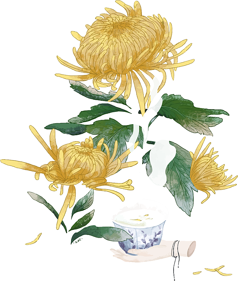 手绘水墨菊花重阳节花卉海报背景PNG素材