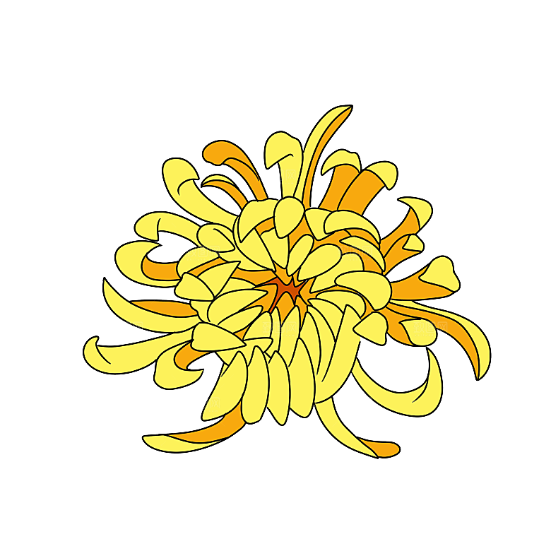 手绘水墨菊花重阳节花卉海报背景PNG素材