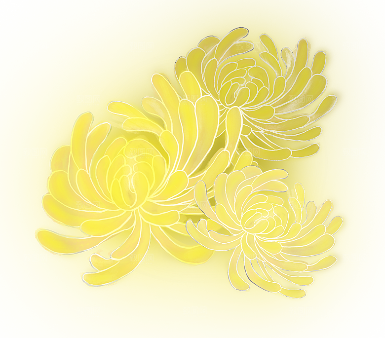 手绘水墨菊花重阳节花卉海报背景PNG