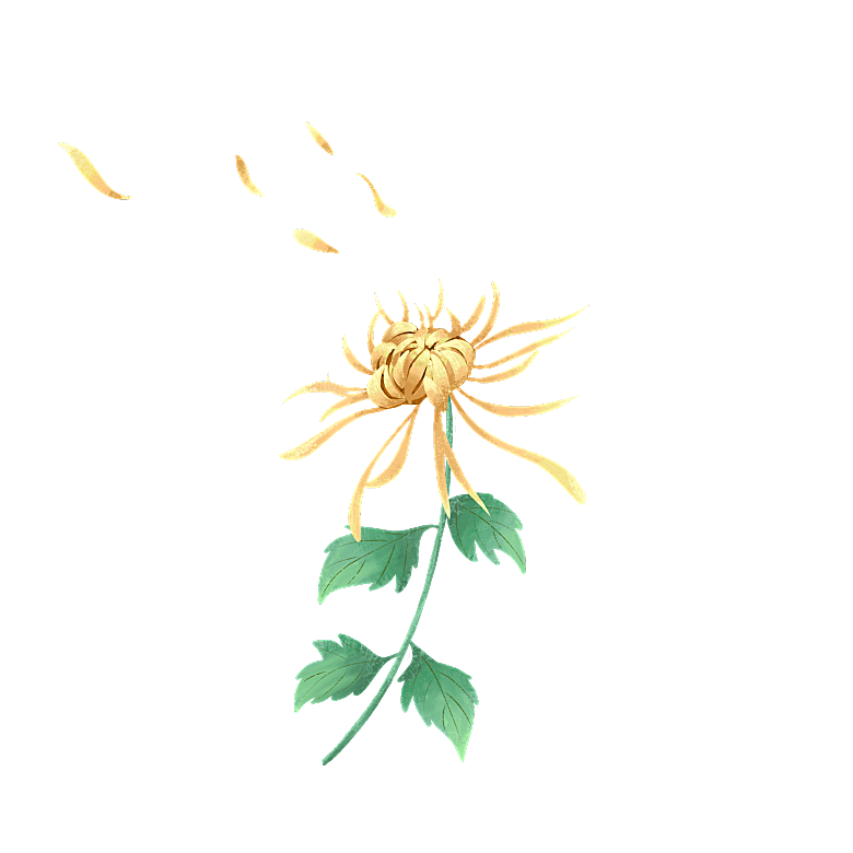 手绘水墨菊花重阳节花卉海报背景PNG