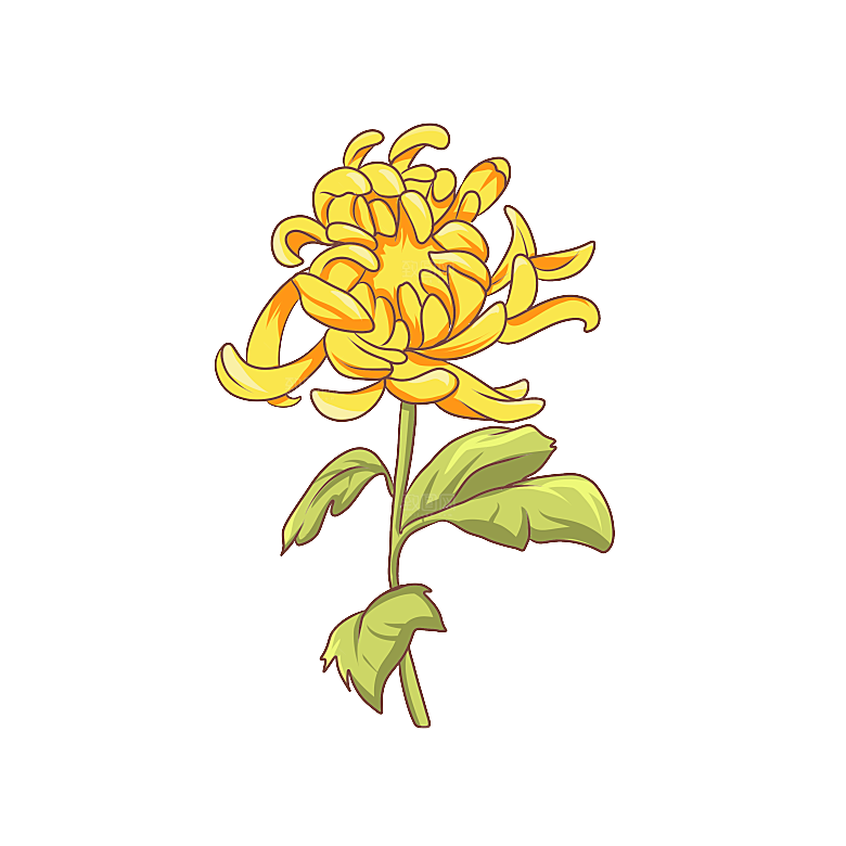 手绘水墨菊花重阳节花卉海报背景PNG