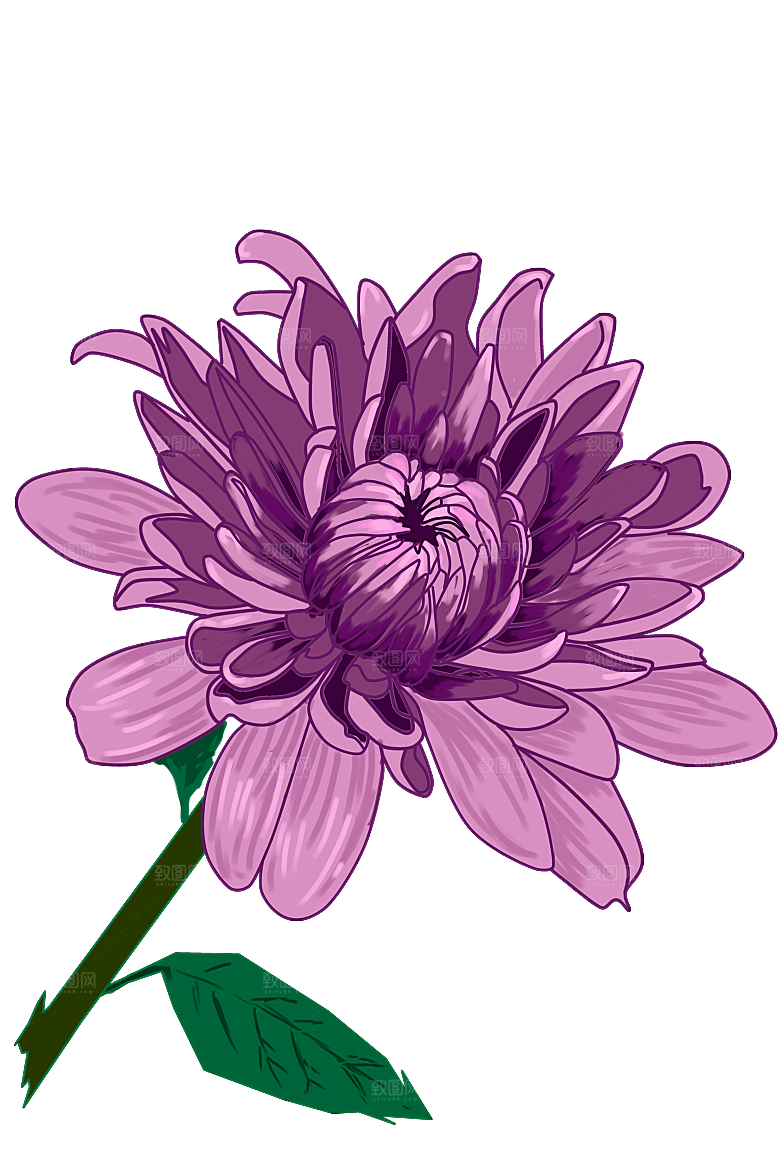 手绘水墨菊花重阳节花卉海报背景PNG