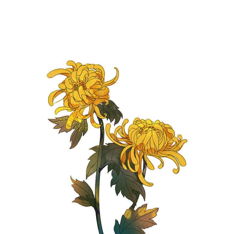 手绘水墨菊花重阳节花卉海报背景PNG