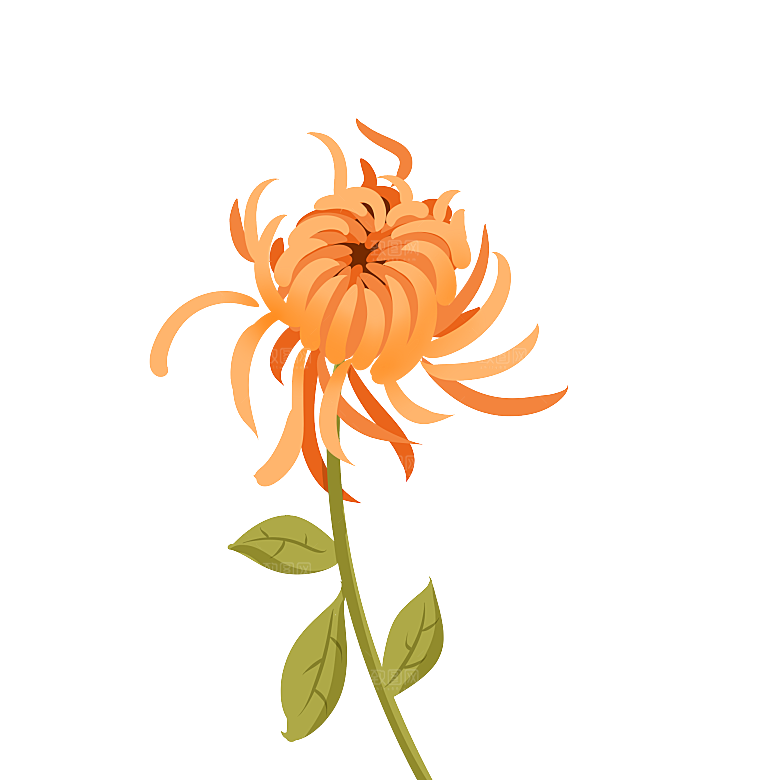 手绘水墨菊花重阳节花卉海报背景PNG