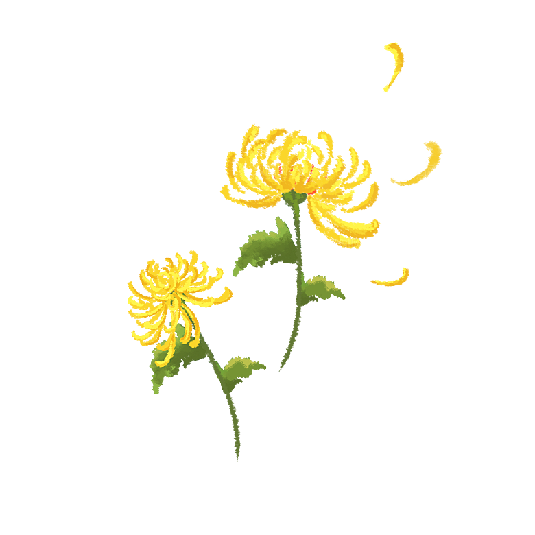 手绘水墨菊花重阳节花卉海报背景PNG素材