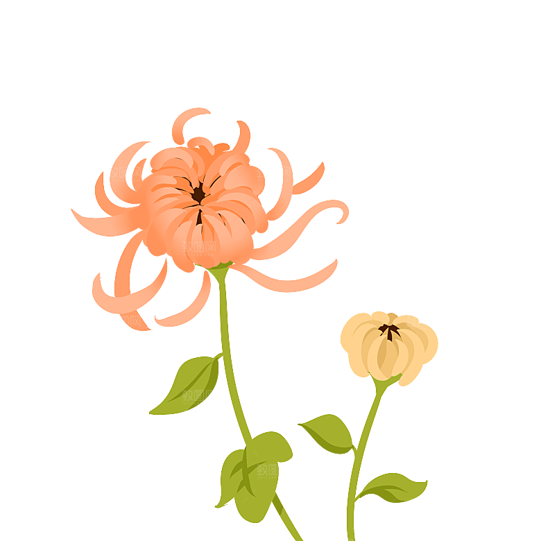 手绘水墨菊花重阳节花卉海报背景PNG