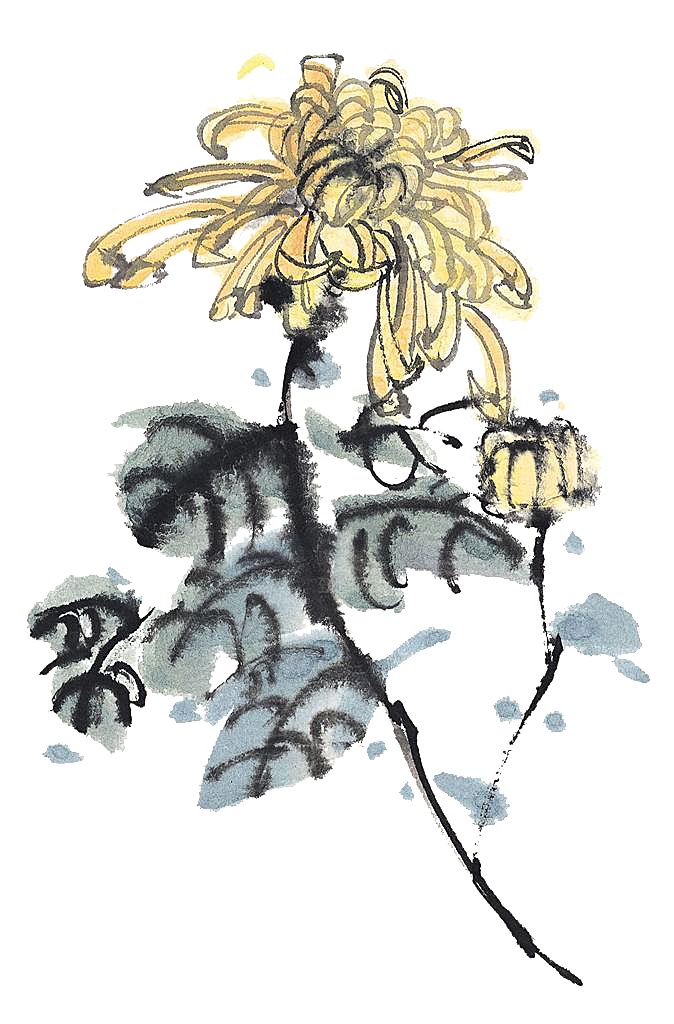 手绘水墨菊花重阳节花卉海报背景PNG