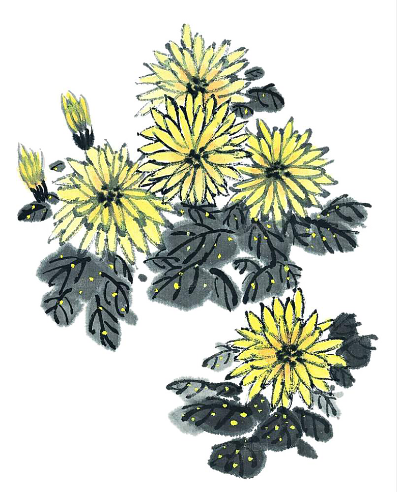 手绘水墨菊花重阳节花卉海报背景PNG