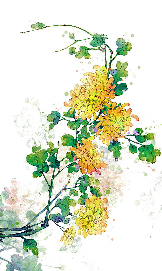 手绘水墨菊花重阳节花卉海报背景PNG