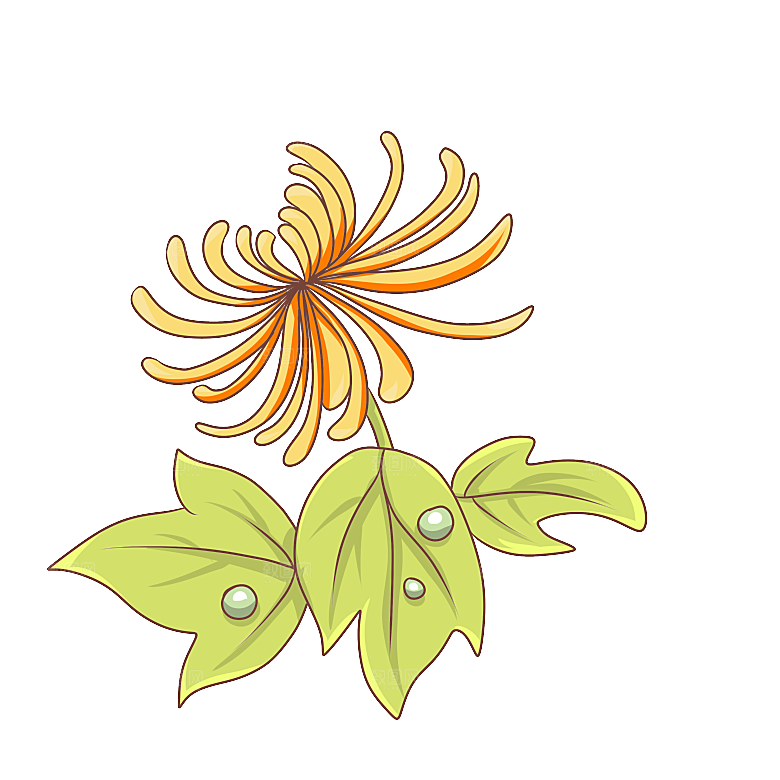 手绘水墨菊花重阳节花卉海报背景PNG