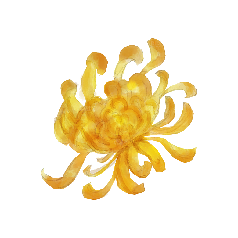手绘水墨菊花重阳节花卉海报背景PNG素材