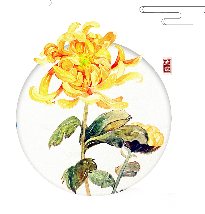 手绘水墨菊花重阳节花卉海报背景PNG素材