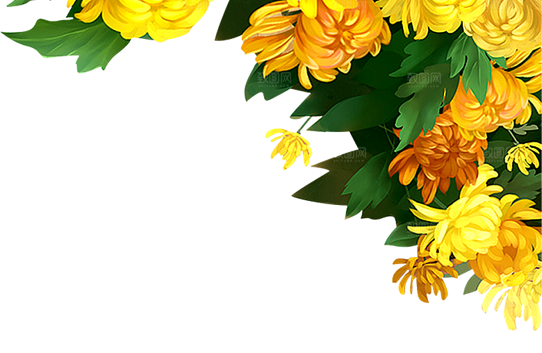 手绘水墨菊花重阳节花卉海报背景PNG素材