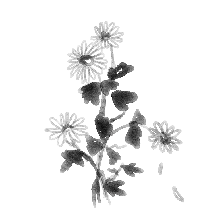 手绘水墨菊花重阳节花卉海报背景PNG