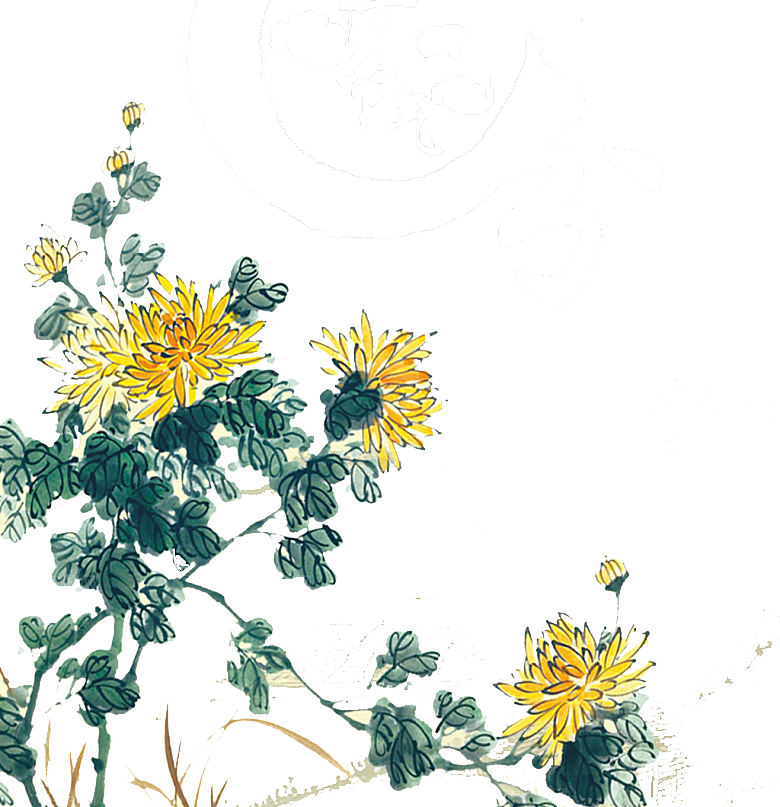 手绘水墨菊花重阳节花卉海报背景PNG