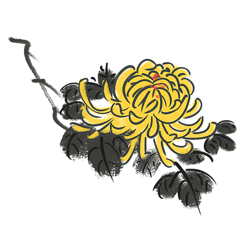 手绘水墨菊花重阳节花卉海报背景PNG