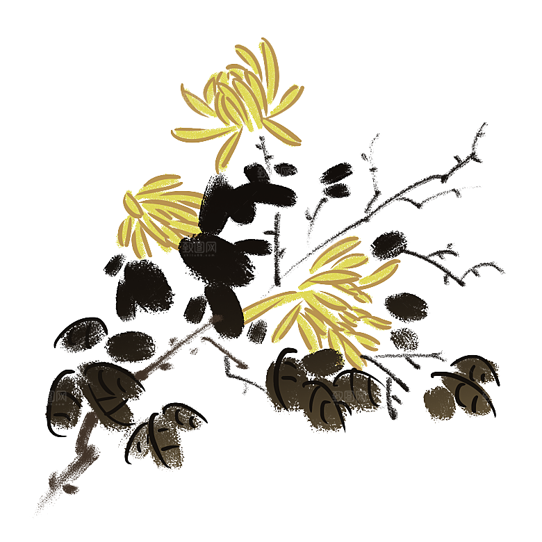手绘水墨菊花重阳节花卉海报背景PNG
