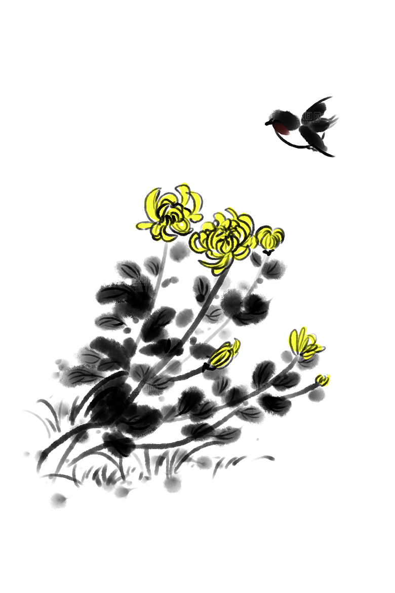 手绘水墨菊花重阳节花卉海报背景PNG