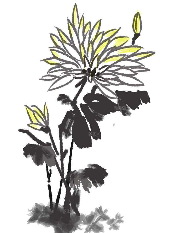 手绘水墨菊花重阳节花卉海报背景PNG