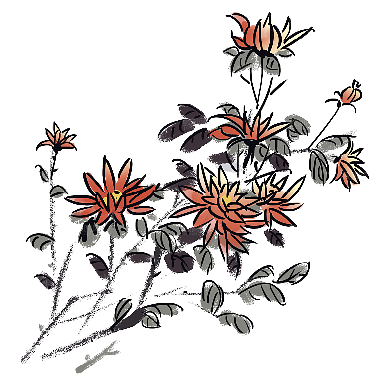 手绘水墨菊花重阳节花卉海报背景PNG