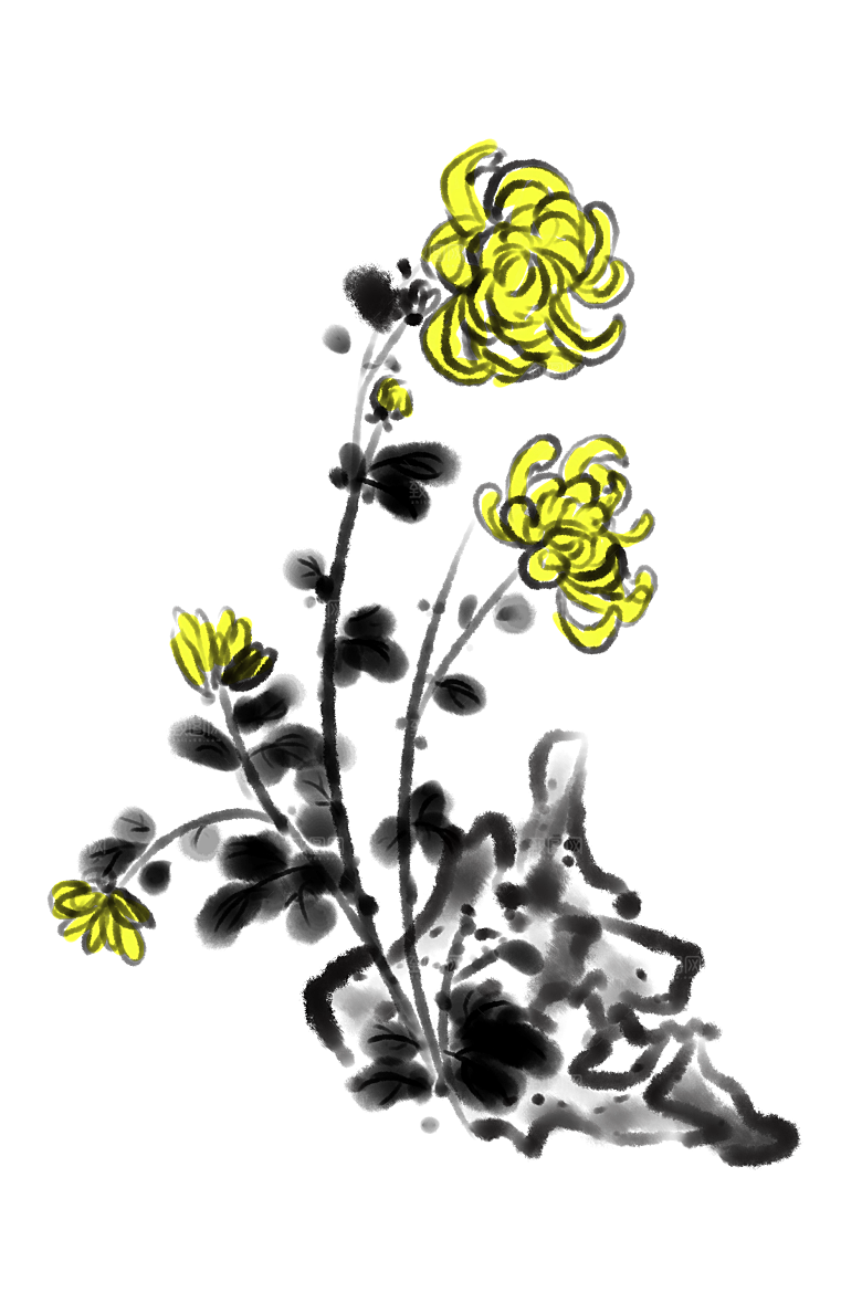 手绘水墨菊花重阳节花卉海报背景PNG免抠