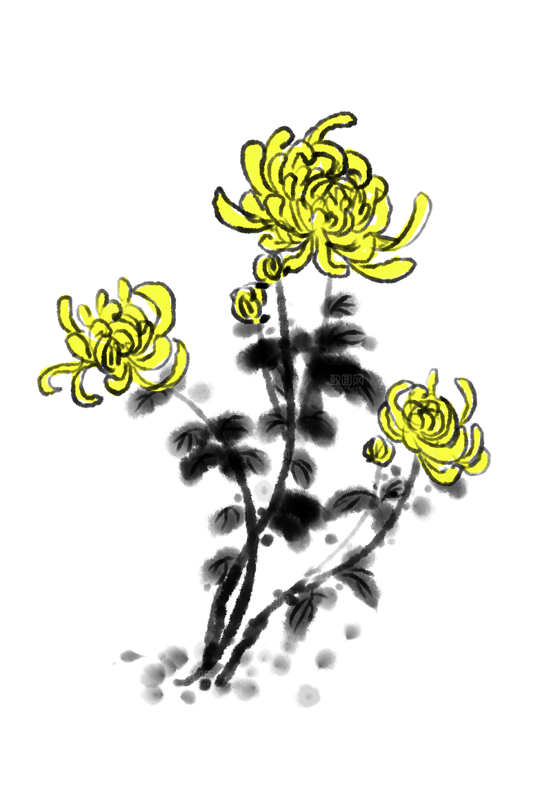 手绘水墨菊花重阳节花卉海报背景PNG免抠