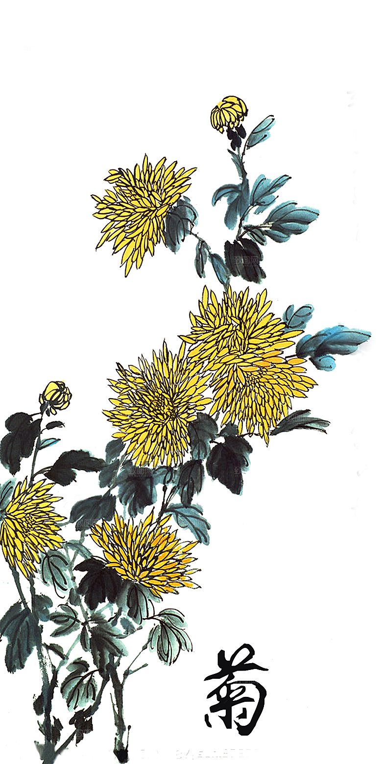 手绘水墨菊花重阳节花卉海报背景PNG免抠