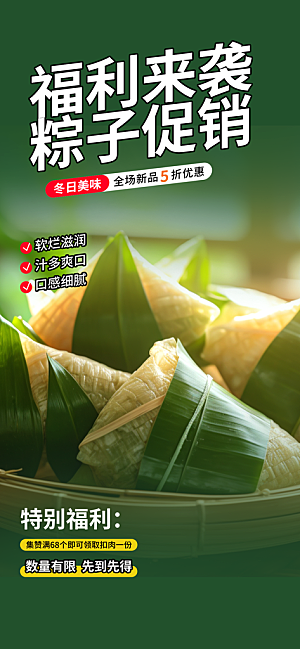 优惠粽子美食促销活动海报