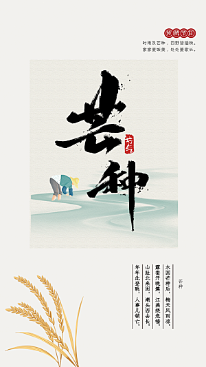 芒果节气传统海报