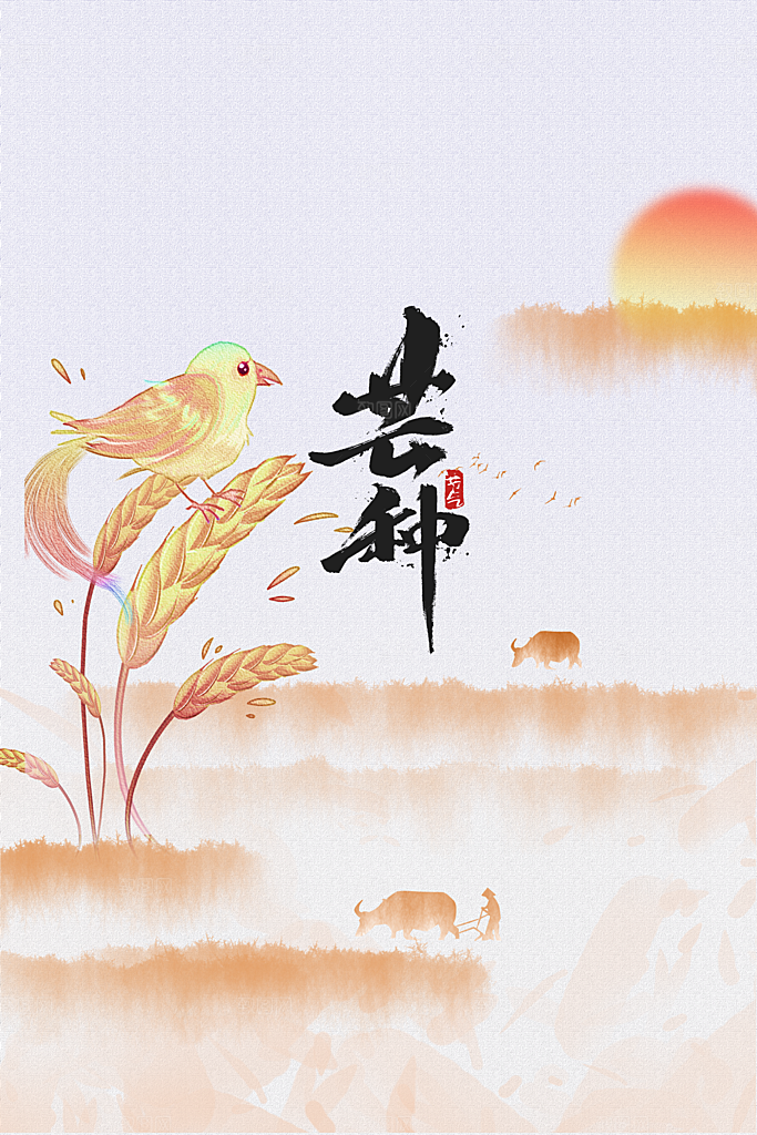 芒果节气传统海报