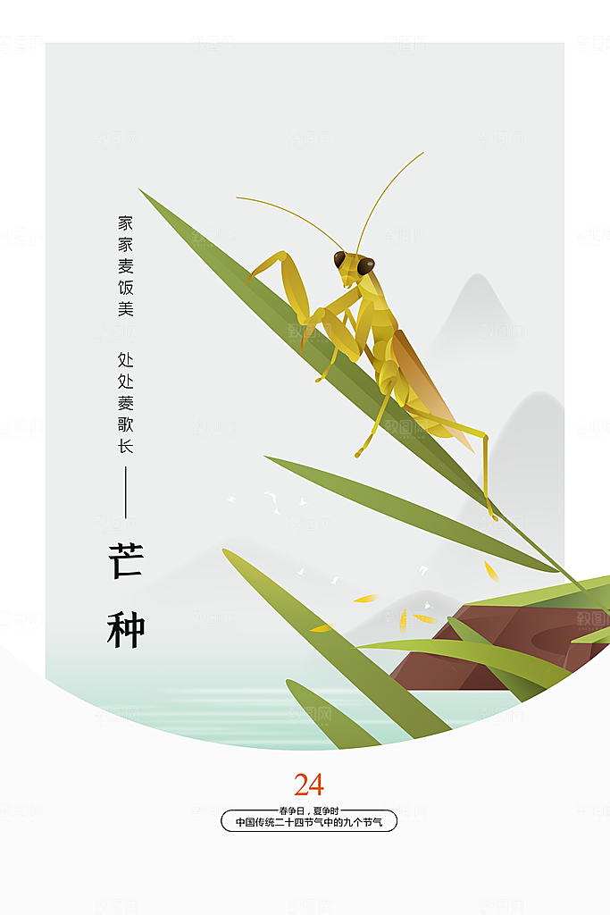 芒果节气传统海报