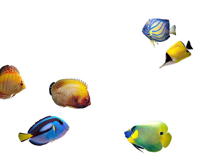 卡通手绘海洋游动鱼群免扣元素